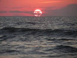 1003751_10101465294849198_916821701_n