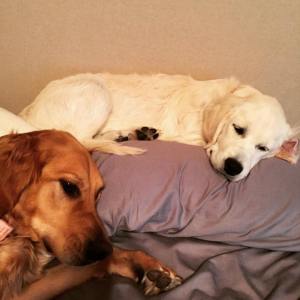 12188021_10103111718493018_2333238441204446551_o