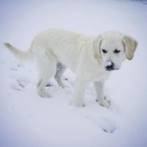 12291226_10103148027289898_182902578549425531_o