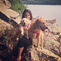 11960190_10103009326542308_8684631081053637299_n (1)